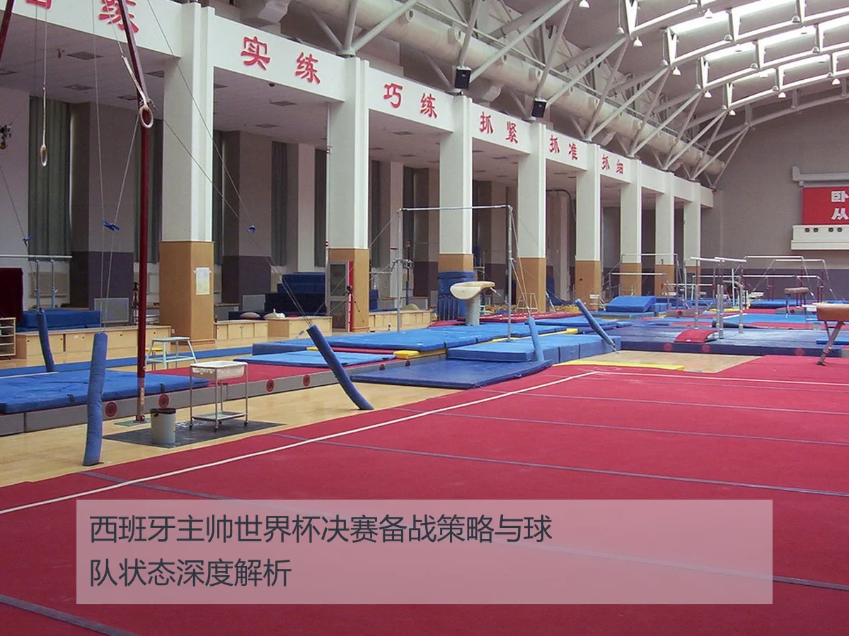 西班牙主帅世界杯决赛备战策略与球队状态深度解析